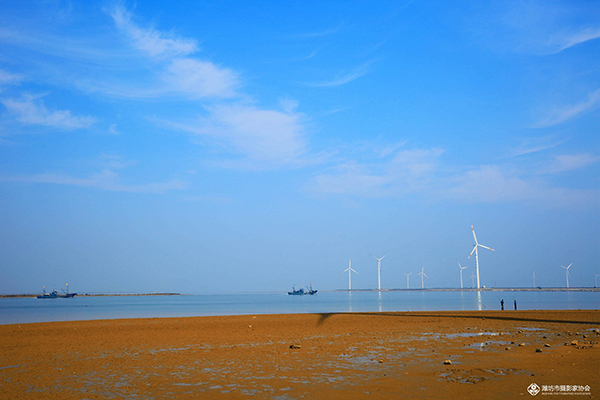 华能昌邑第一风力发电（49.5MW）工程